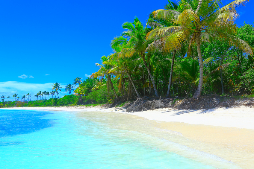 Tropical Paradise Relax Summer Dreamscape Turquoise Caribbean Beach White Sand Florida Keys Aquarium Encounters