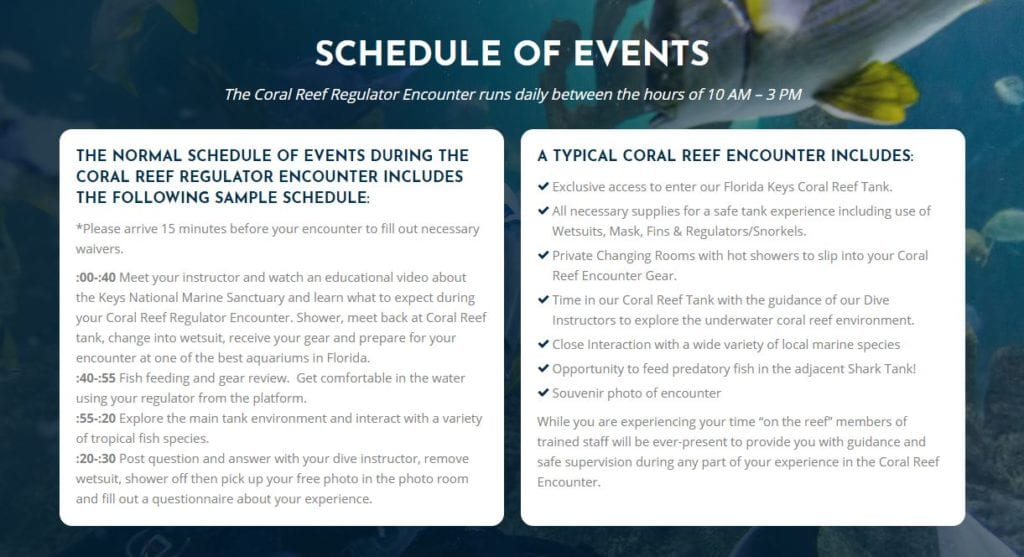 Marathon Aquarium Snorkeling Experience in a Coral Reef Tank