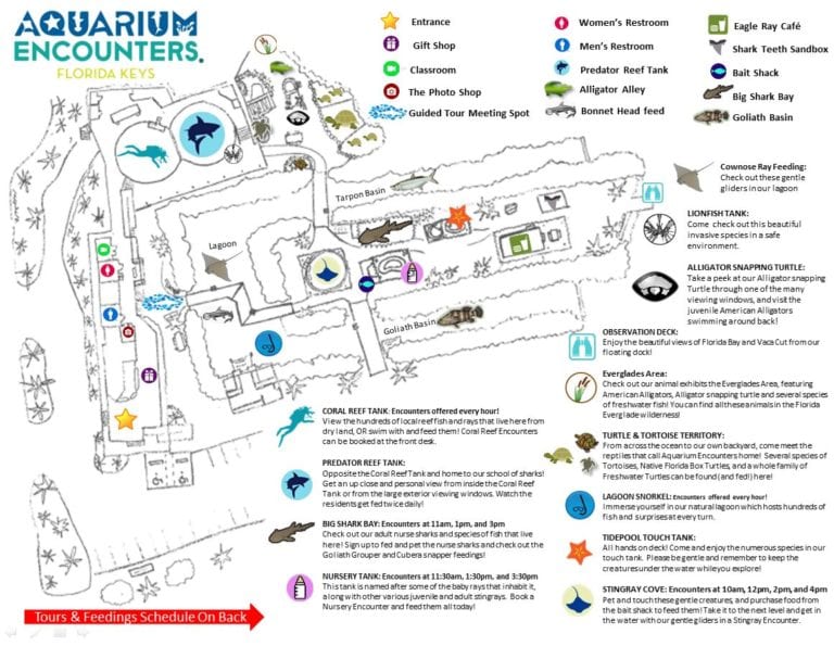Marathon Aquarium Guided Educational Tours from Marine Biologists