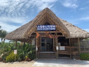entry to aquarium