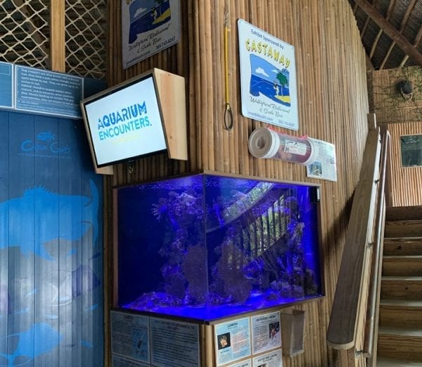 Aquarium News Archives - Florida Keys Aquarium Encounters