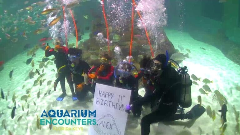 birthday - Florida Keys Aquarium Encounters