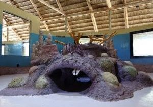 10403497_249229518604132_2423084962549248460_n