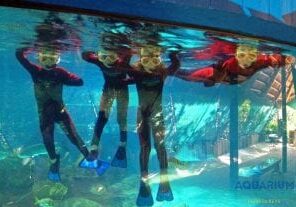 11900091_417141181812964_3346945997897343097_o