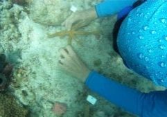 Coral Restoration Project