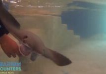 screen-shot-2014-09-23-at-11-19-44-pm-270x150